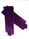 Signature Solid Velvet Gloves